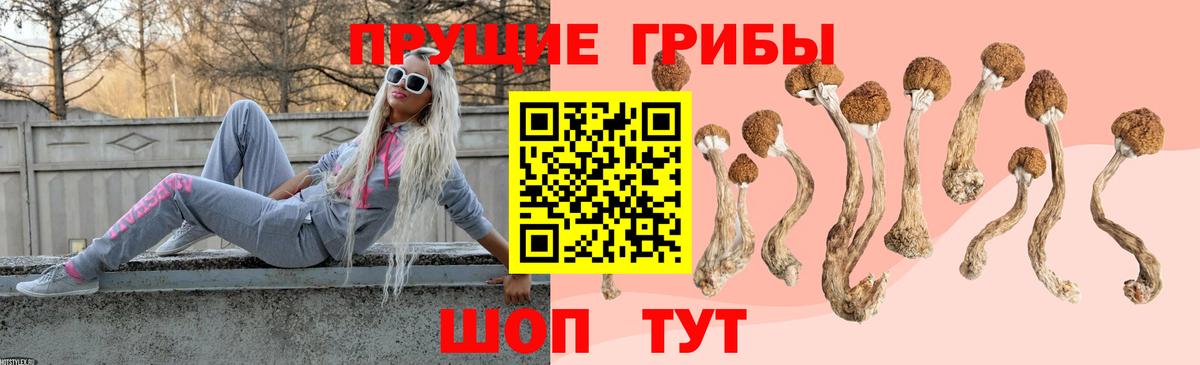 Галлюциногенные грибы ЛСД  Вход с VPN  Котельники 